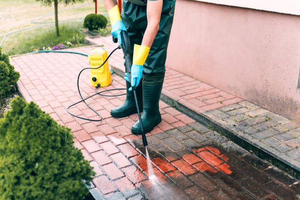 Best Sidewalk Pressure Washing  in Freeland, MI