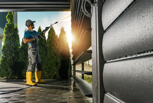 Best Residential Pressure Washing Services  in Freeland, MI