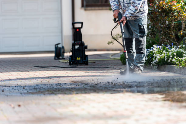 Best Affordable Pressure Washing  in Freeland, MI