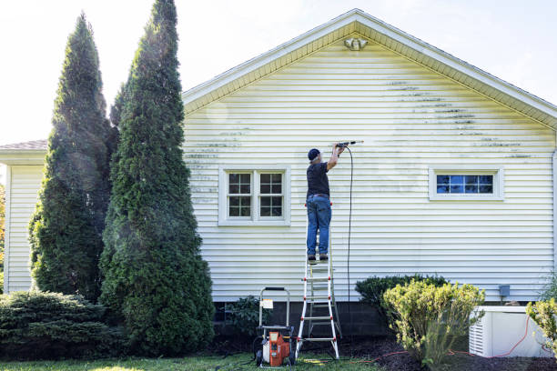 Pressure Washing Brick in Freeland, MI