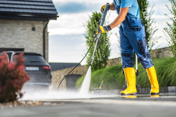 Best Pressure Washing Company Near Me  in Freeland, MI